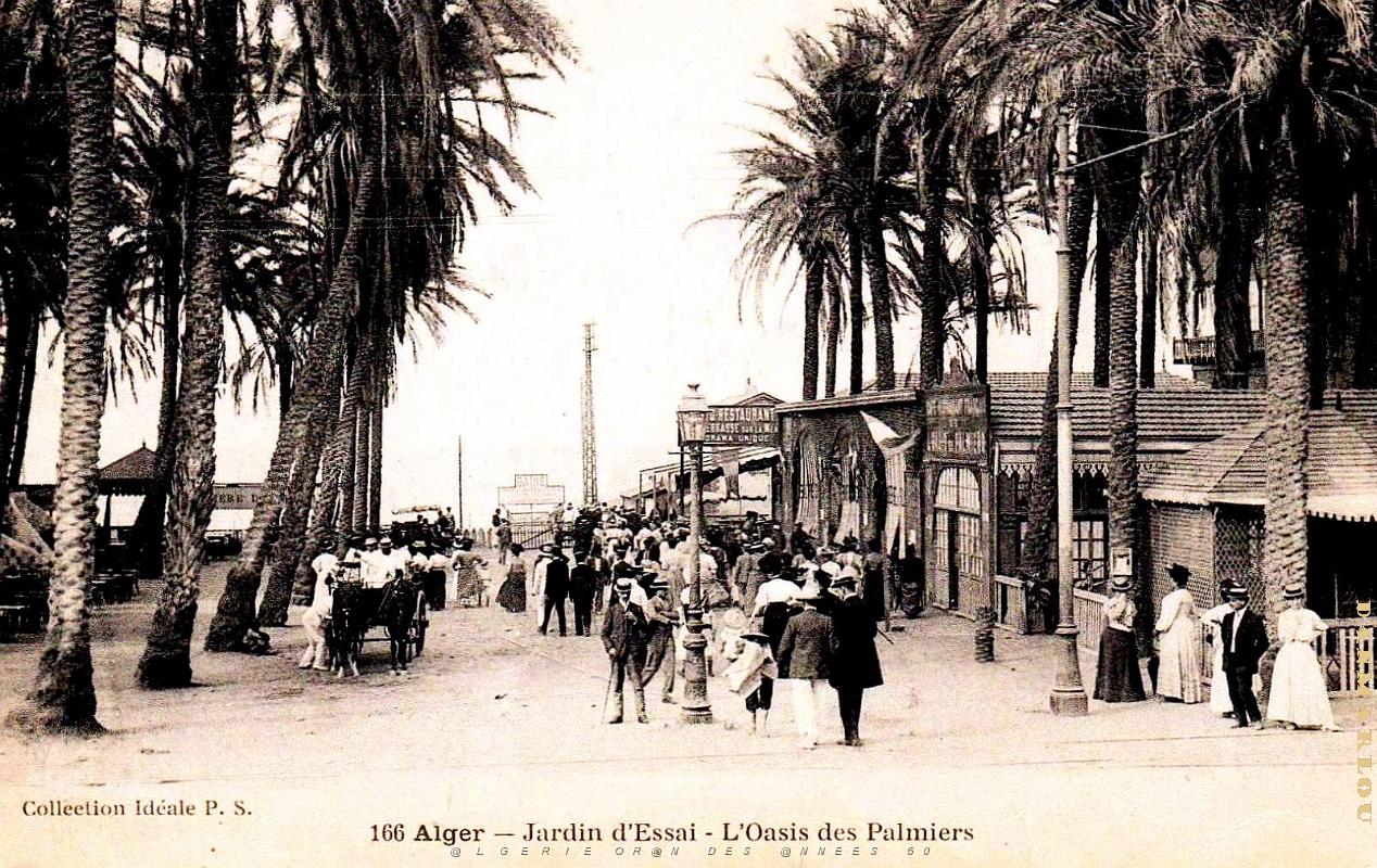 2785- Alger - Jardin d'essai - Oasis des Palmiers.jpg